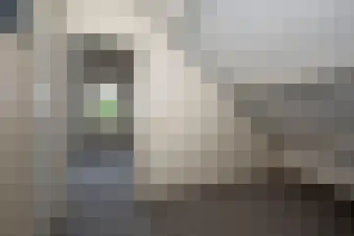 Diepenheimsestraat 6 Hengevelde thumbnail 27