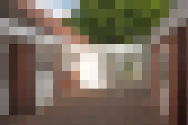 Diepenheimsestraat 6 Hengevelde thumbnail 33