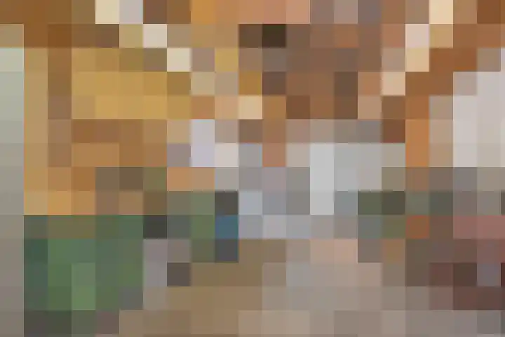 Diepenheimsestraat 6 Hengevelde thumbnail 36