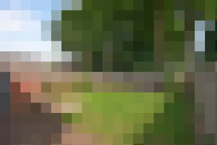 Diepenheimsestraat 6 Hengevelde thumbnail 37