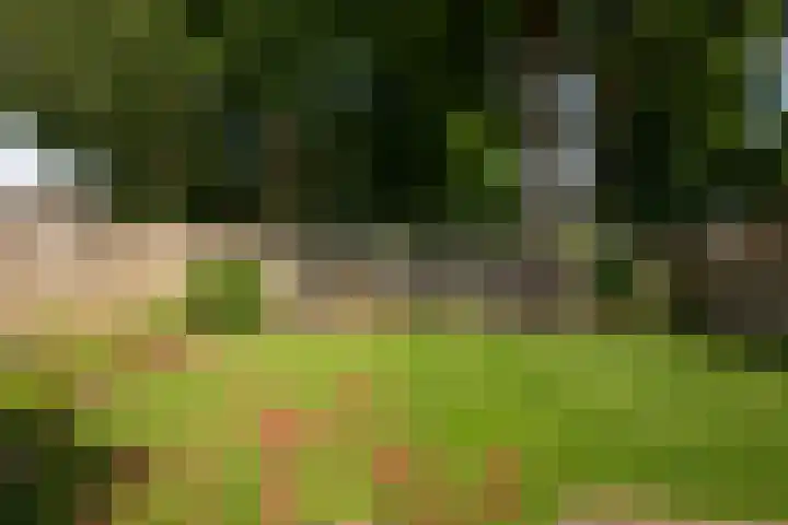 Diepenheimsestraat 6 Hengevelde thumbnail 38