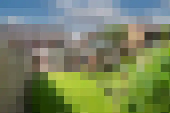 Diepenheimsestraat 6 Hengevelde thumbnail 39