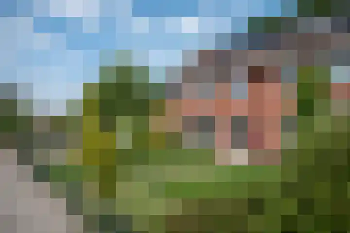 Diepenheimsestraat 6 Hengevelde thumbnail 42