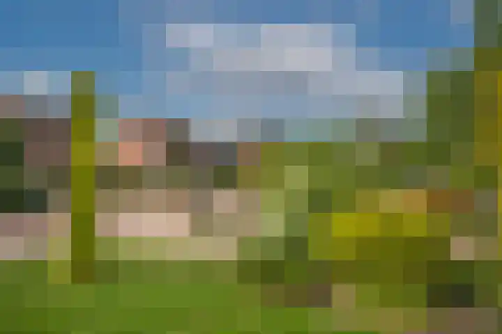 Diepenheimsestraat 6 Hengevelde thumbnail 43