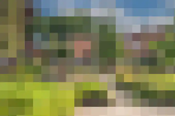 Diepenheimsestraat 6 Hengevelde thumbnail 44