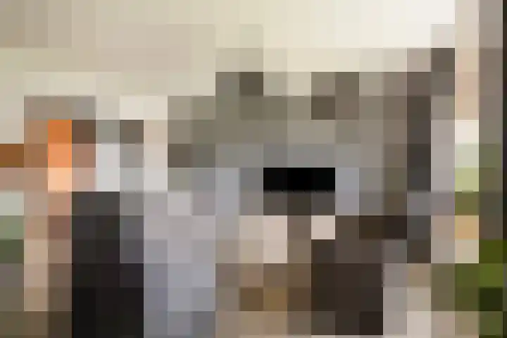 Diepenheimseweg 22 Neede thumbnail 11