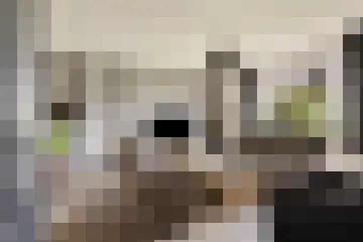 Diepenheimseweg 22 Neede thumbnail 12