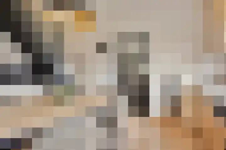 Diepenheimseweg 22 Neede thumbnail 15