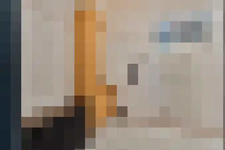 Diepenheimseweg 22 Neede thumbnail 18