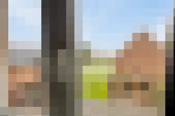 Diepenheimseweg 22 Neede thumbnail 28