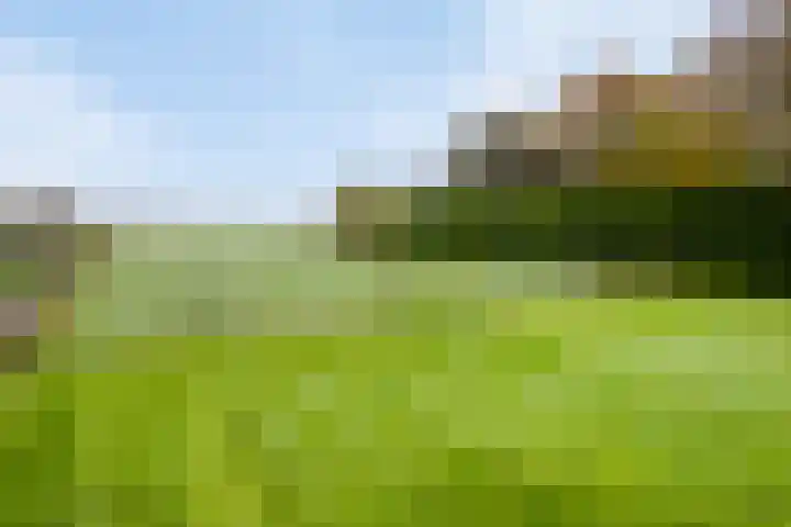 Diepenheimseweg 22 Neede thumbnail 32