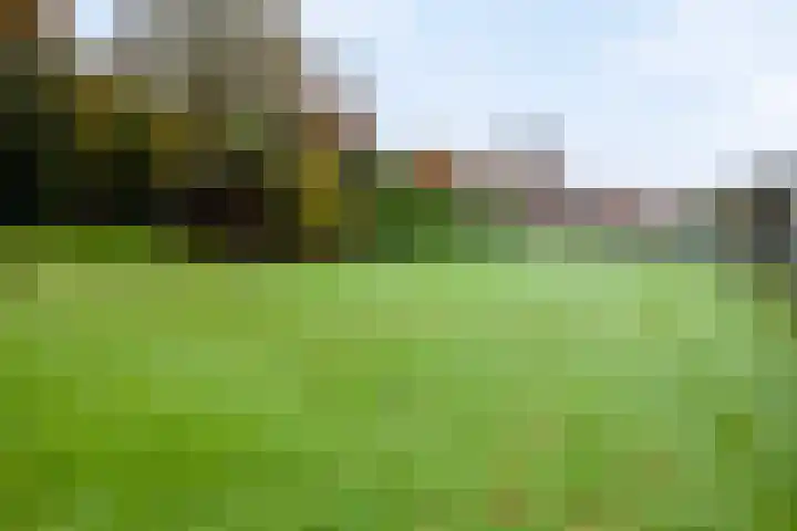 Diepenheimseweg 22 Neede thumbnail 33
