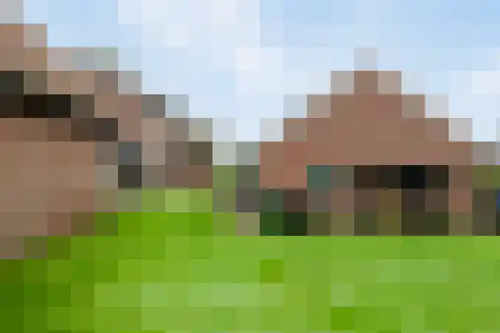 Diepenheimseweg 22 Neede thumbnail 34