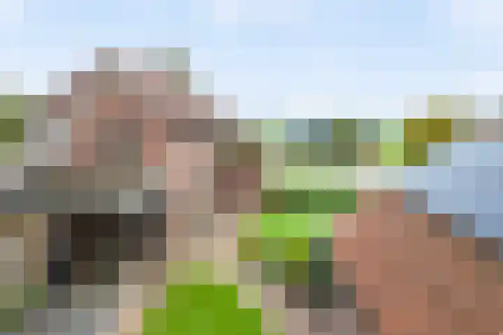 Diepenheimseweg 22 Neede thumbnail 38