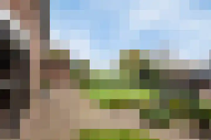 Diepenheimseweg 22 Neede thumbnail 4