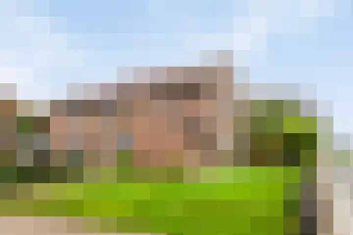 Diepenheimseweg 22 Neede thumbnail 40