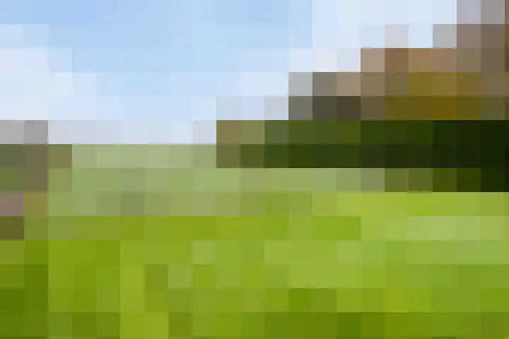 Diepenheimseweg 22 Neede thumbnail 5