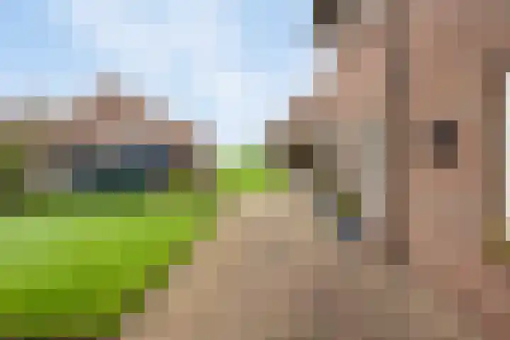 Diepenheimseweg 22 Neede thumbnail 6