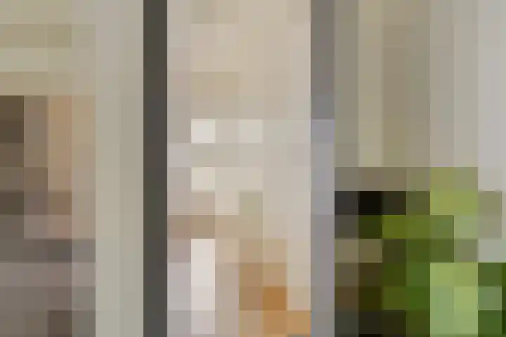 Diepenheimseweg 22 Neede thumbnail 7