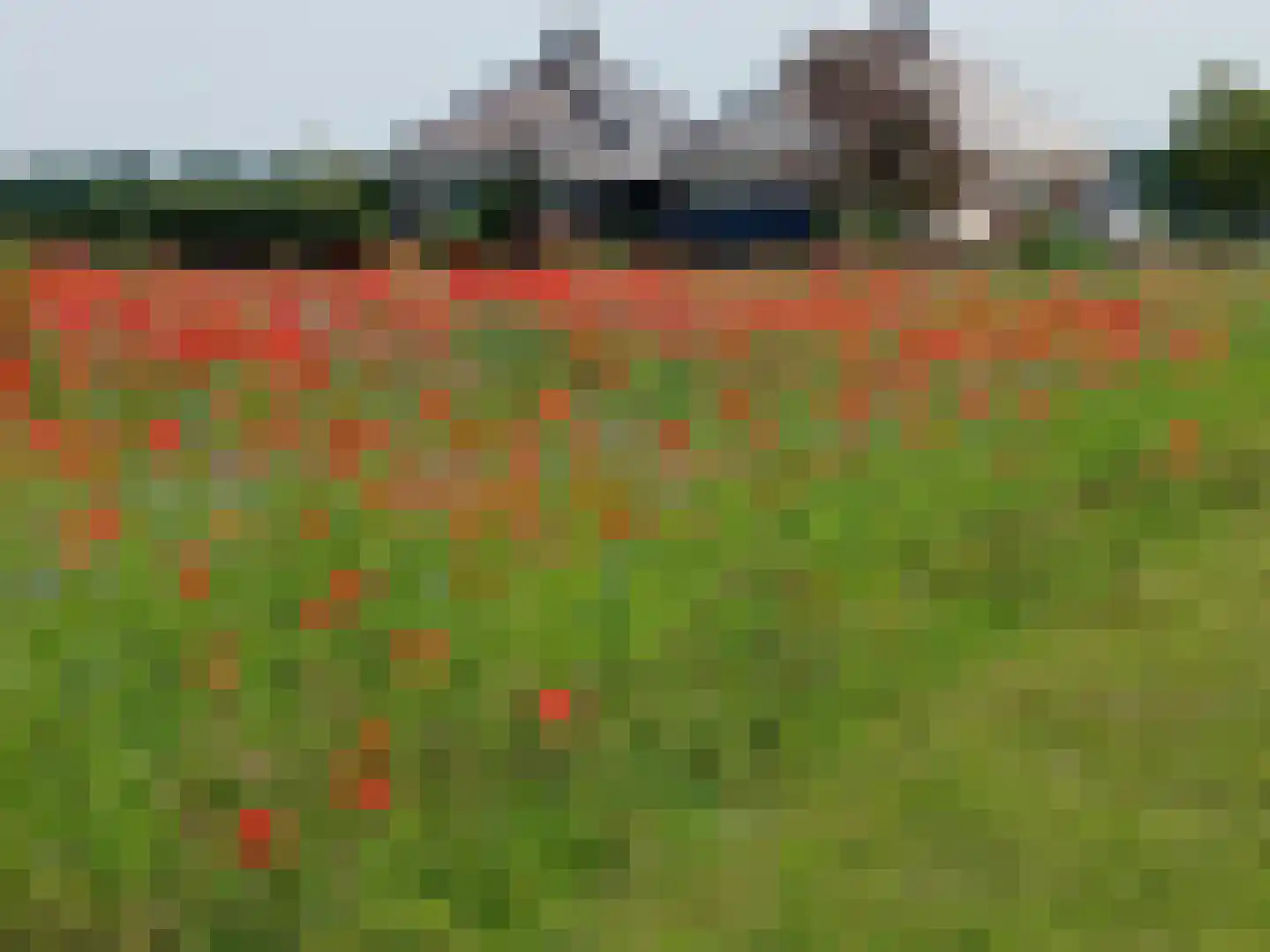 Diepenheimseweg 25 a Neede thumbnail 4
