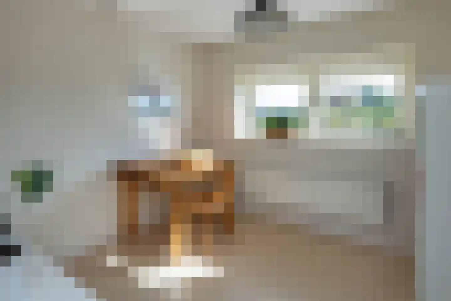 Diepenheimseweg 25 a Neede thumbnail 42