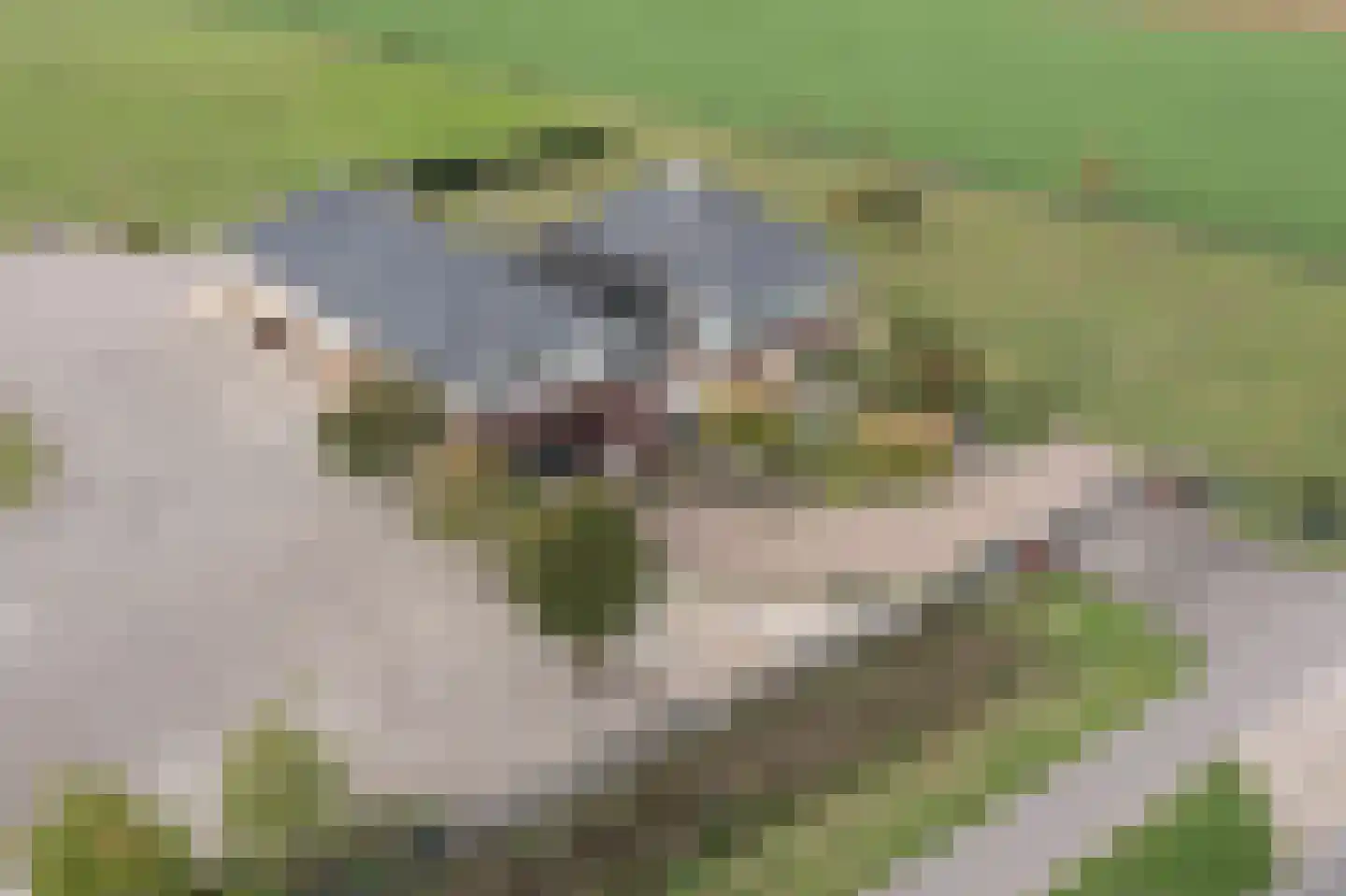 Diepenheimseweg 25 a Neede thumbnail 48