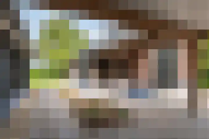 Diepenheimseweg 26 Goor thumbnail 29