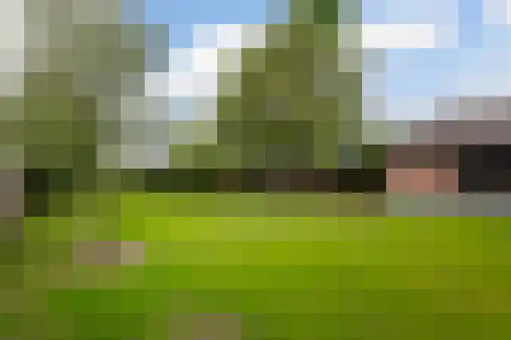 Diepenheimseweg 26 Goor thumbnail 35