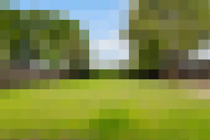 Diepenheimseweg 26 Goor thumbnail 36