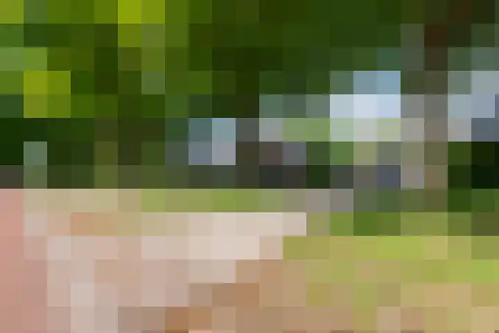 Diepenheimseweg 26 Goor thumbnail 38