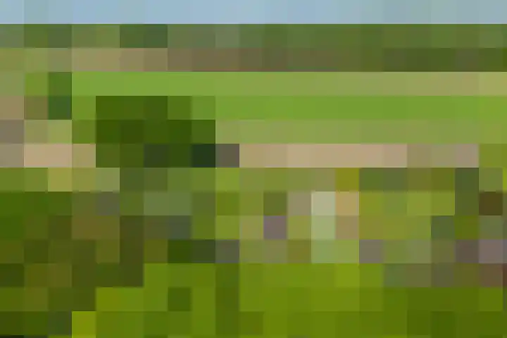 Diepenheimseweg 26 Goor thumbnail 39