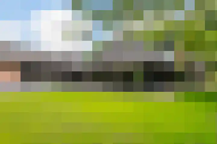 Diepenheimseweg 26 Goor thumbnail 4