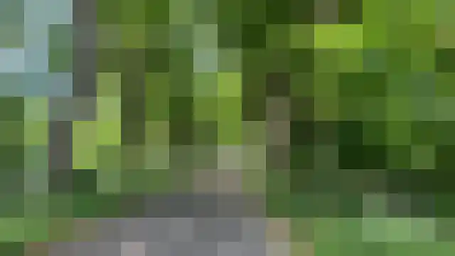 Diepenheimseweg 26 Goor thumbnail 40