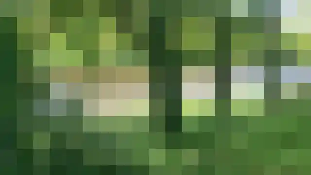 Diepenheimseweg 26 Goor thumbnail 41