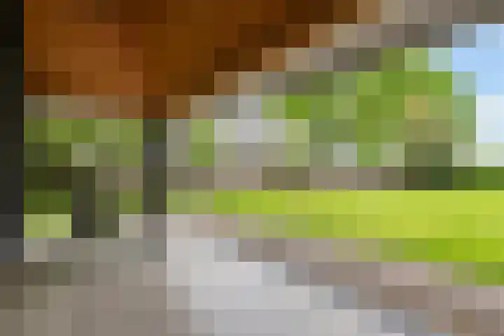 Diepenheimseweg 26 Goor thumbnail 5