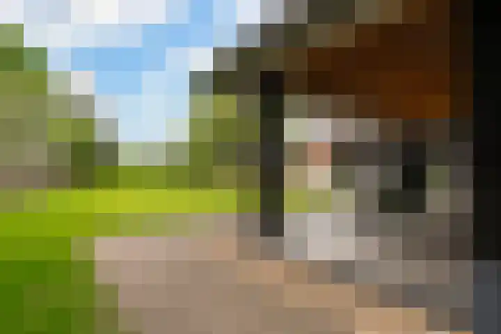 Diepenheimseweg 26 Goor thumbnail 6