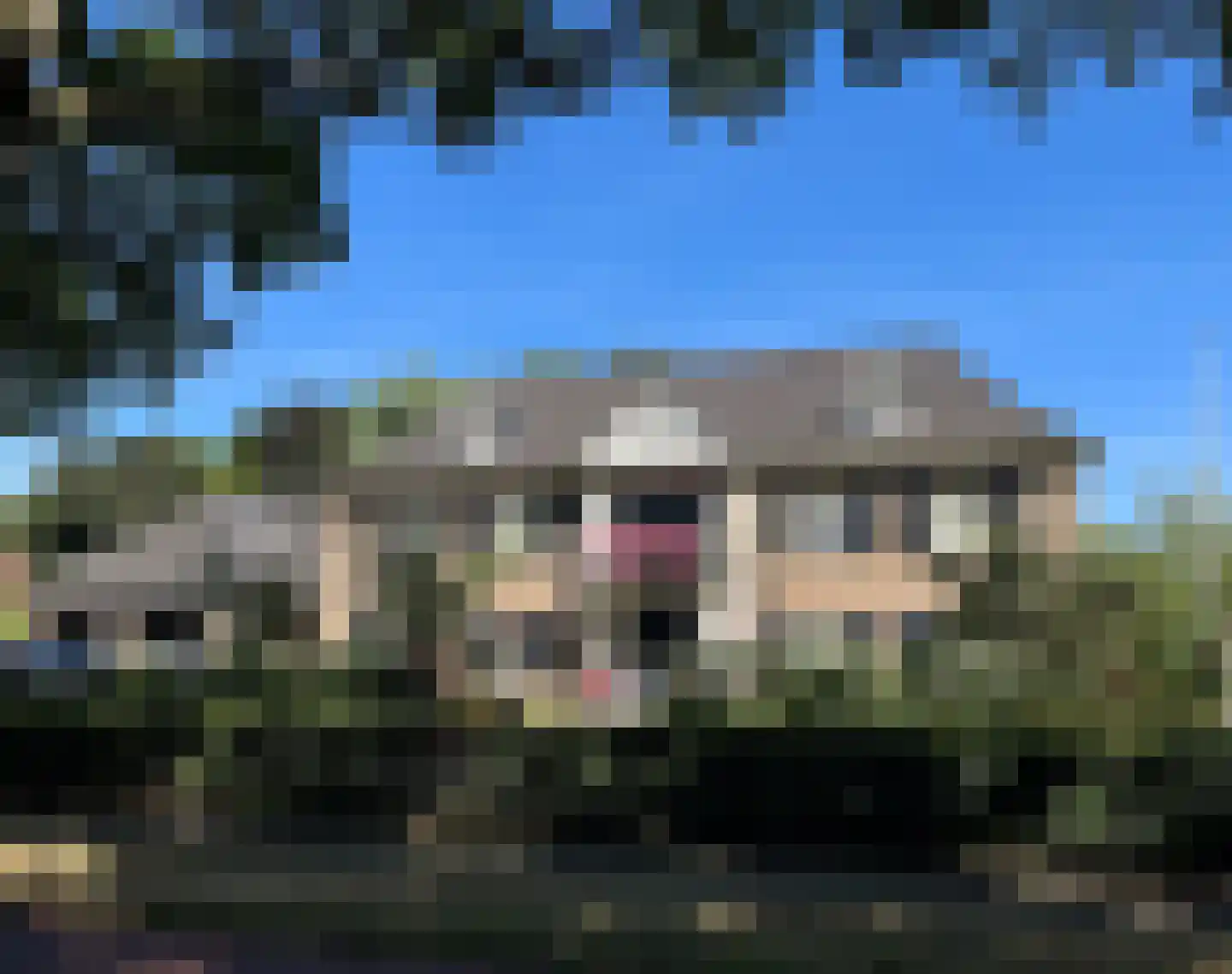 Diepenheimseweg 29 Goor thumbnail 12