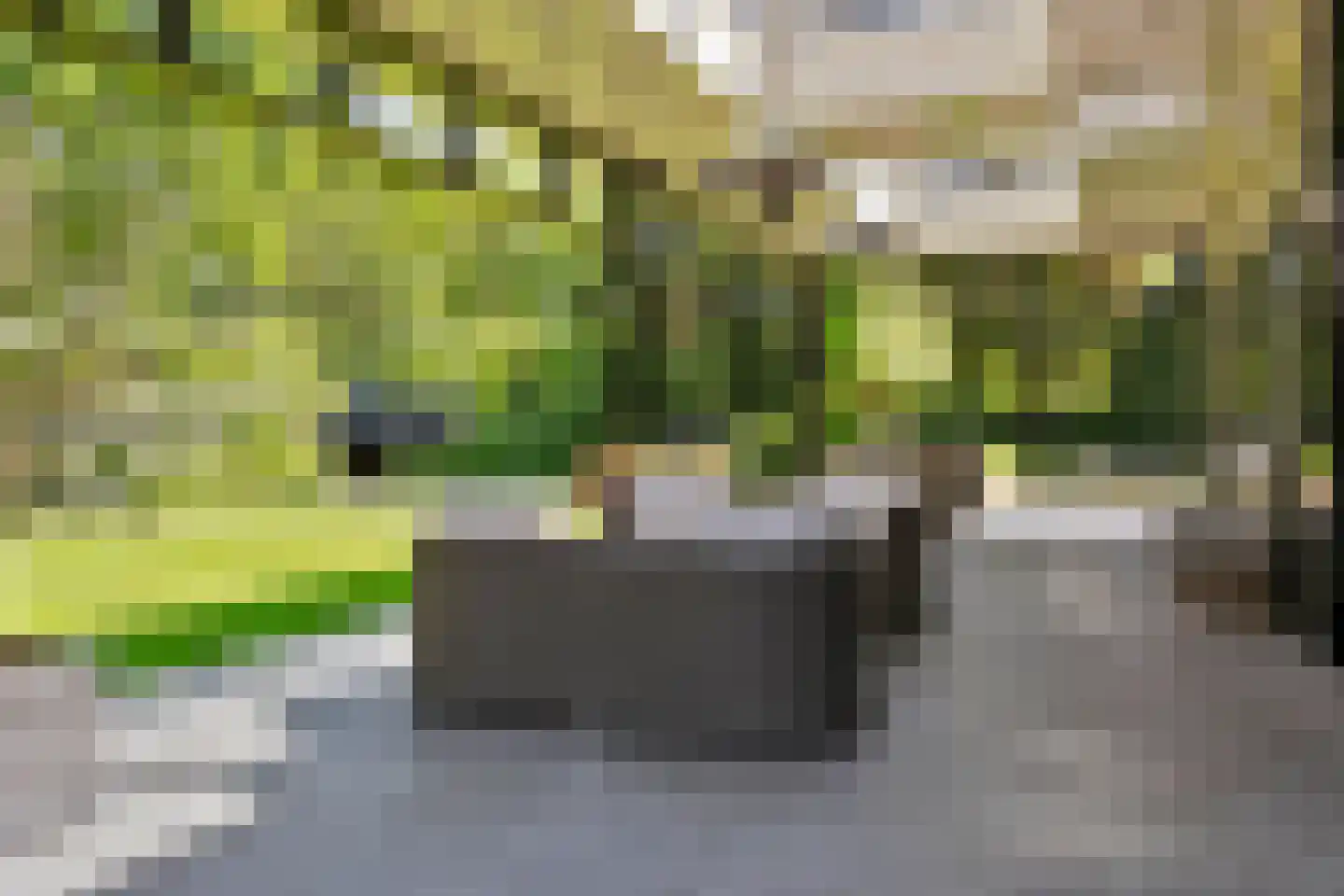 Diepenheimseweg 29 Goor thumbnail 19
