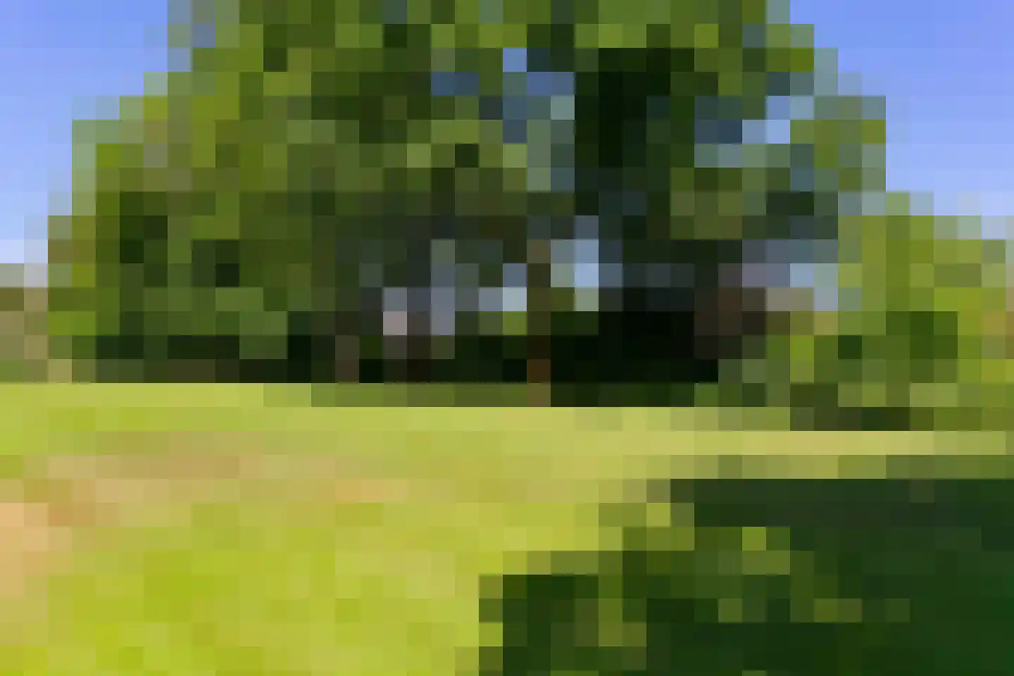 Diepenheimseweg 29 Goor thumbnail 23