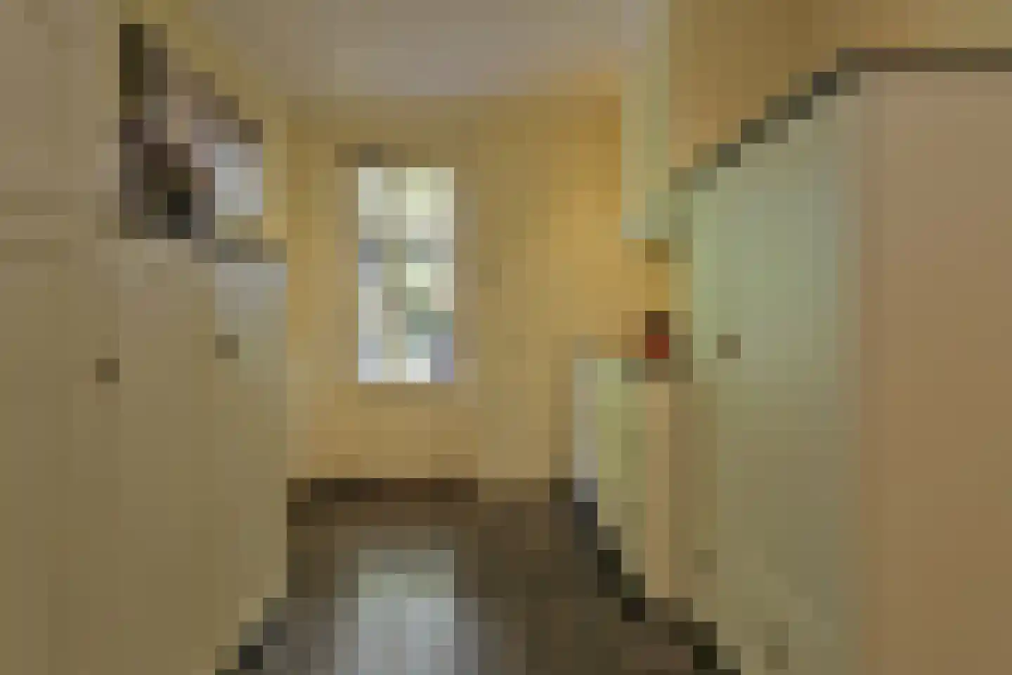 Diepenheimseweg 29 Goor thumbnail 24