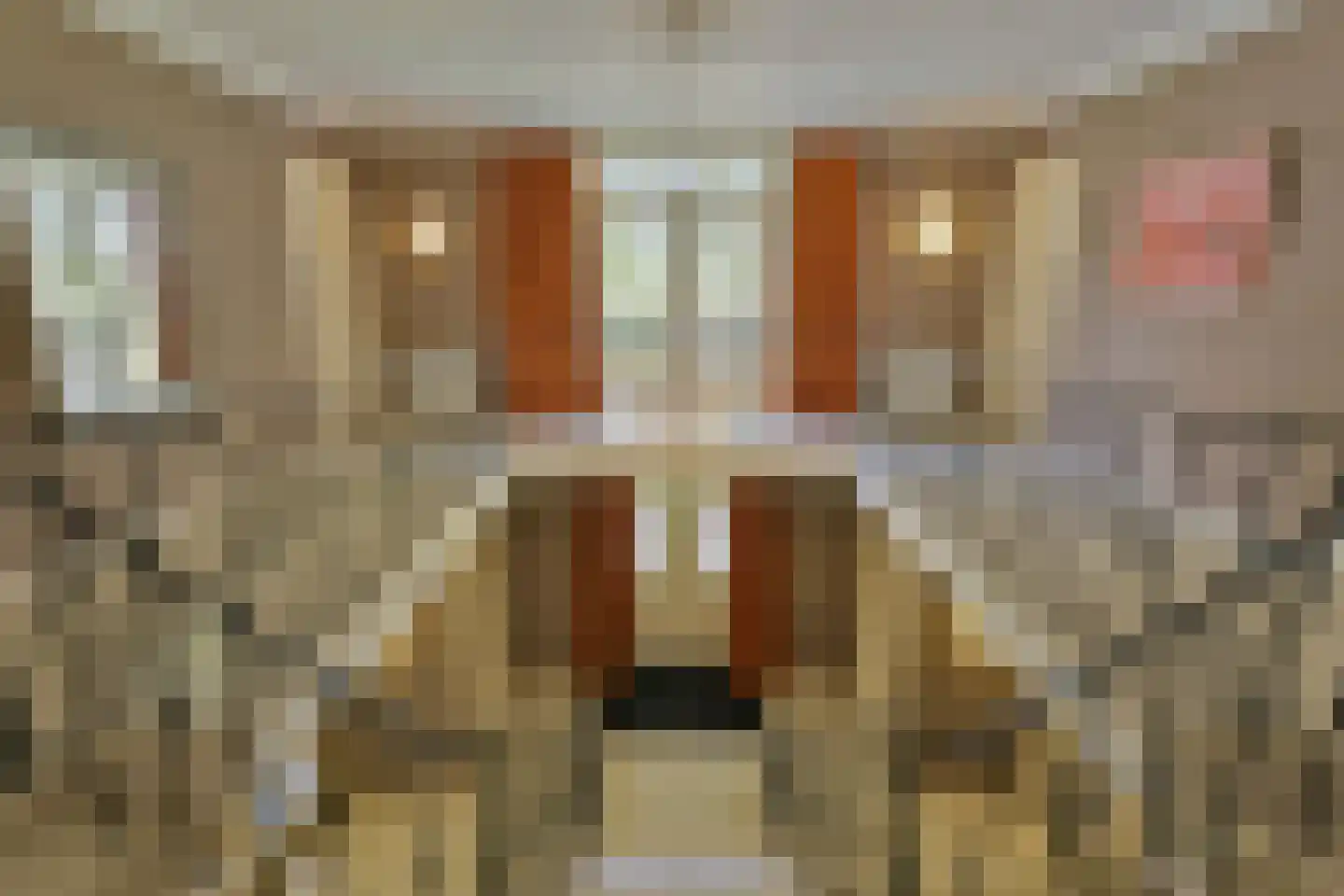 Diepenheimseweg 29 Goor thumbnail 31
