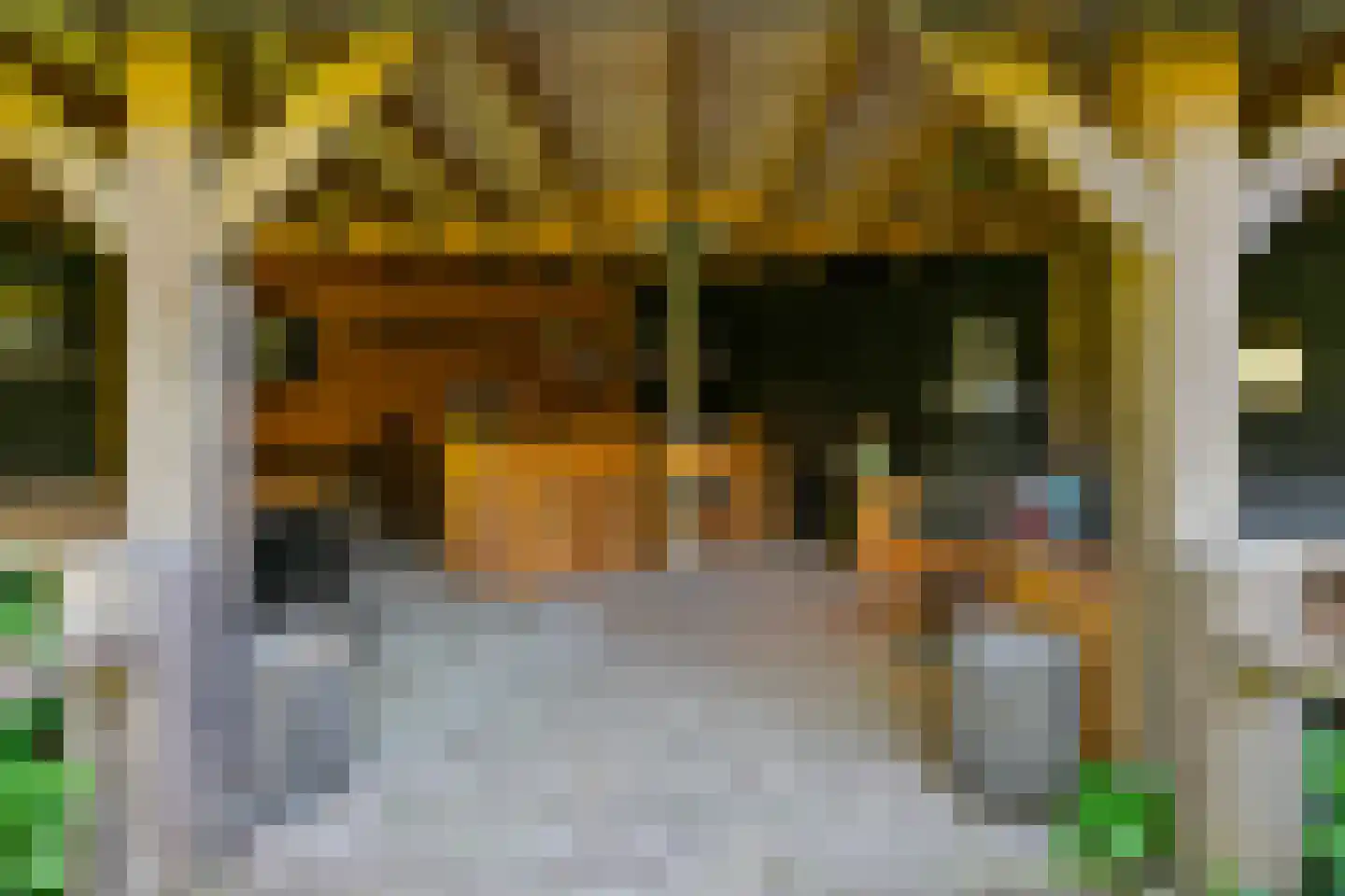 Diepenheimseweg 29 Goor thumbnail 45