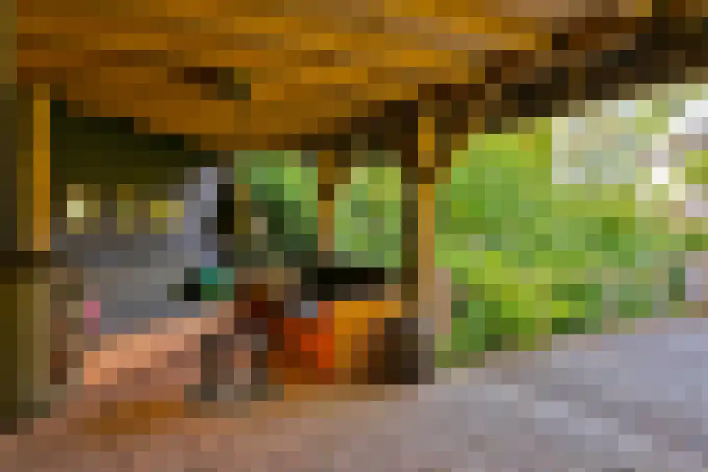 Diepenheimseweg 29 Goor thumbnail 46