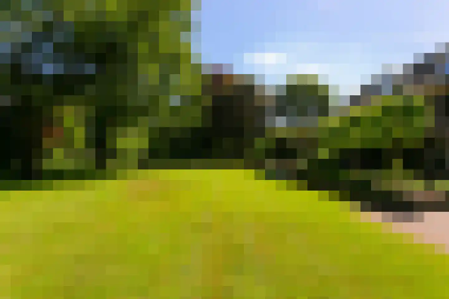 Diepenheimseweg 29 Goor thumbnail 48