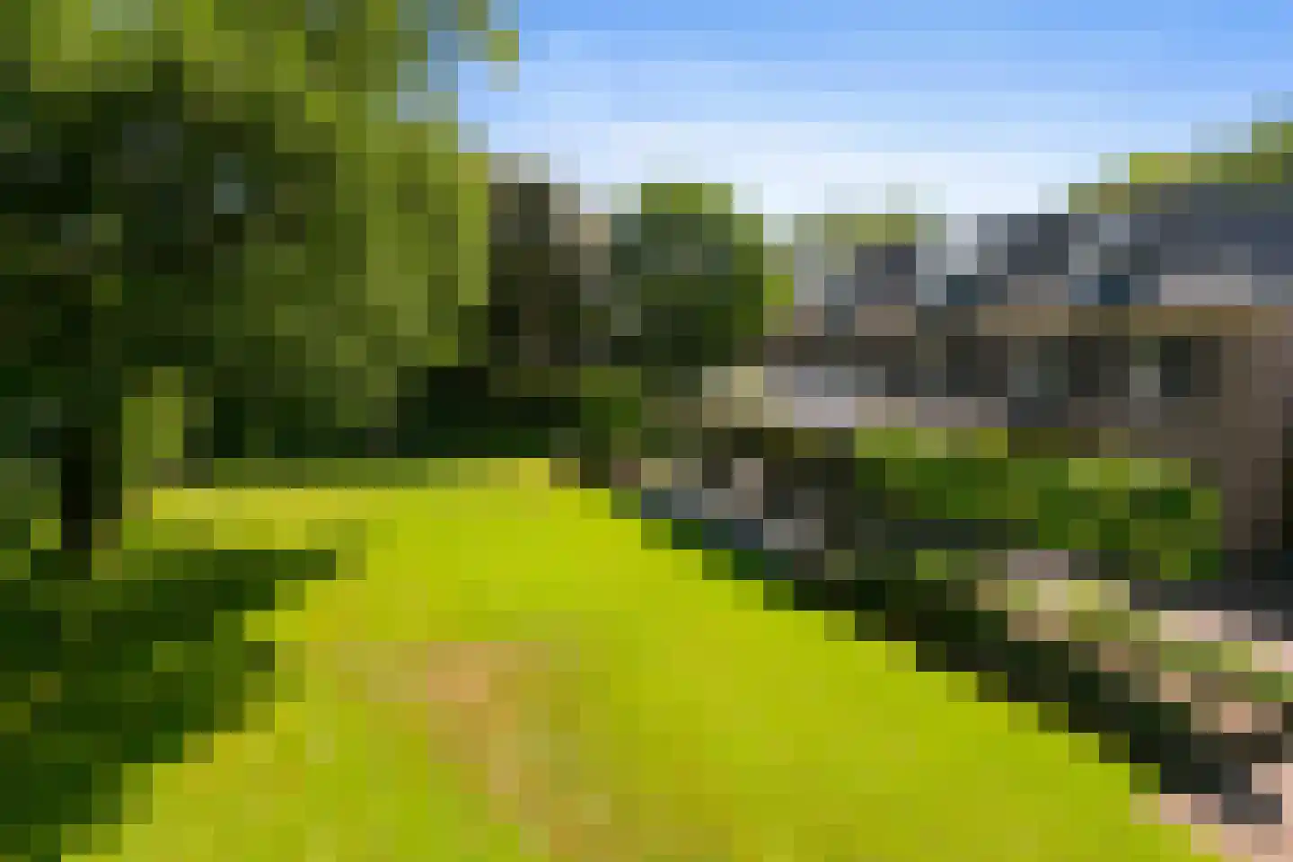Diepenheimseweg 29 Goor thumbnail 49