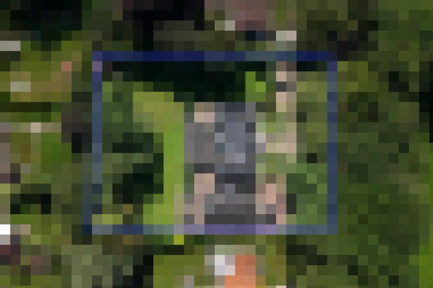 Diepenheimseweg 29 Goor thumbnail 7