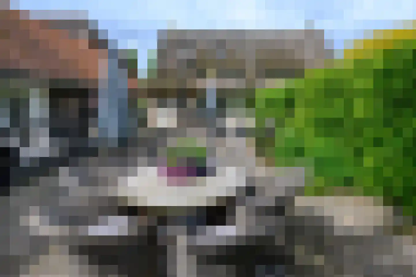 Diepenheimseweg 9 Goor thumbnail 30