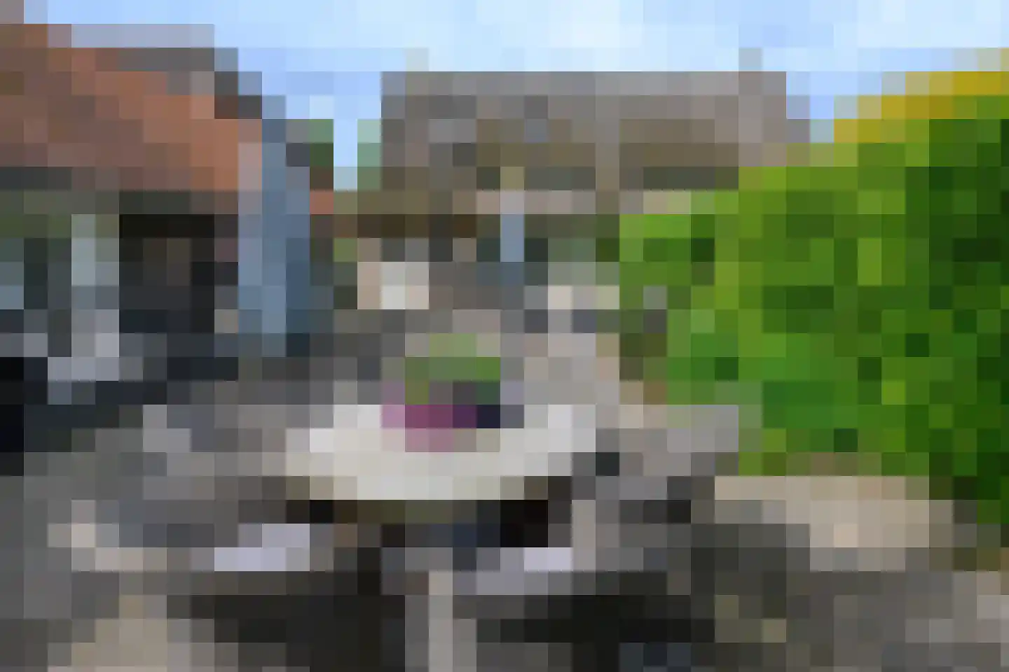 Diepenheimseweg 9 Goor thumbnail 31