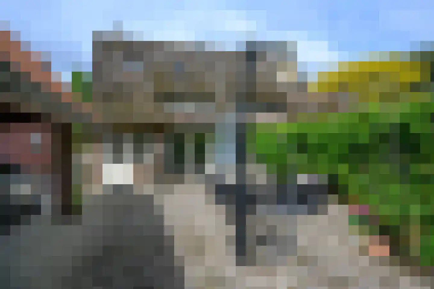 Diepenheimseweg 9 Goor thumbnail 34