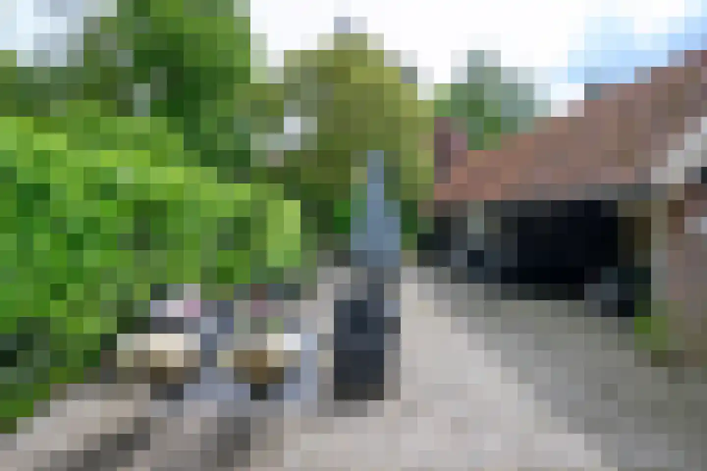 Diepenheimseweg 9 Goor thumbnail 36